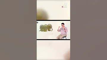 رب صل عالنبي خير الورى احمد المحمود والنور المبين مصطفى عاطف اكسبلور 