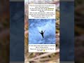 This Tiny Bird Literally Pauses in Mid-Air