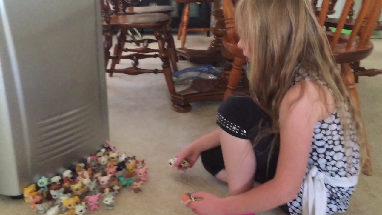 The truth about Pet Shops Part 2 YouTube