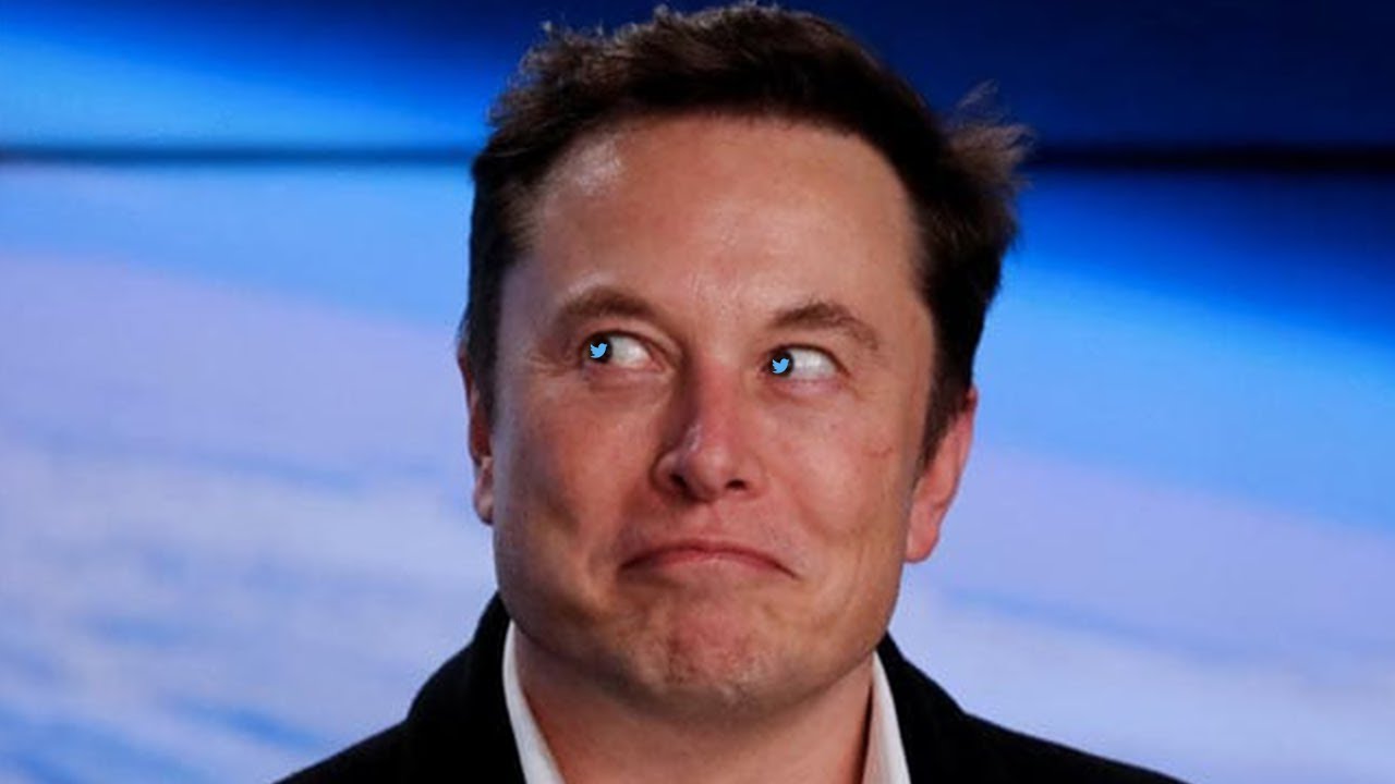 Real Reason Why Elon Musk Bought Twitter
