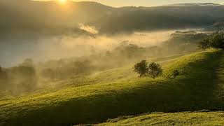 Irfan's Whisper (Bisikan Irfan) | Pop | FREE Music Download screenshot 3