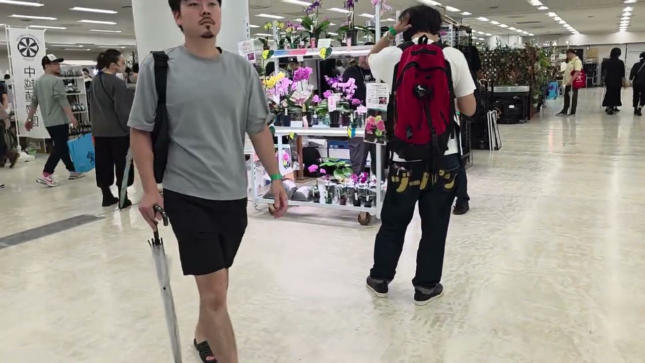 Japanese Orchid Sale Part 2 - YouTube