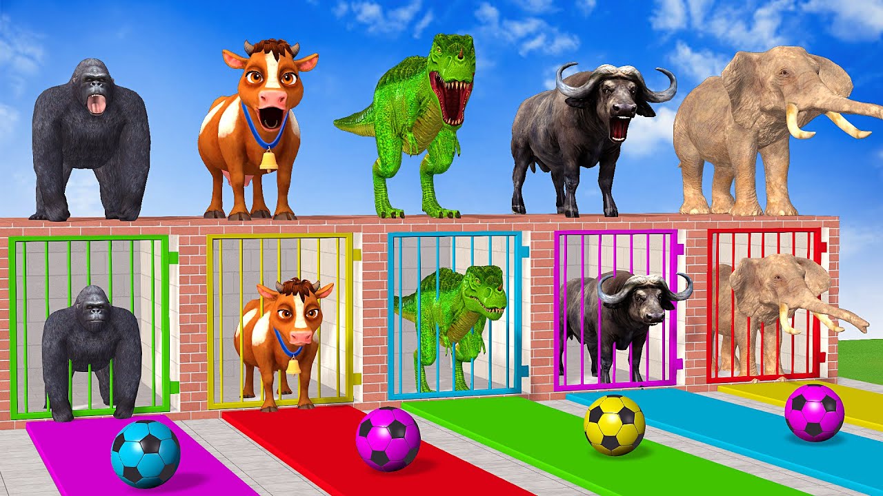Long Slide Game With Cow Elephant Gorilla Hippopotamus Tiger - 3d Animal Game - Funny 3d Animals