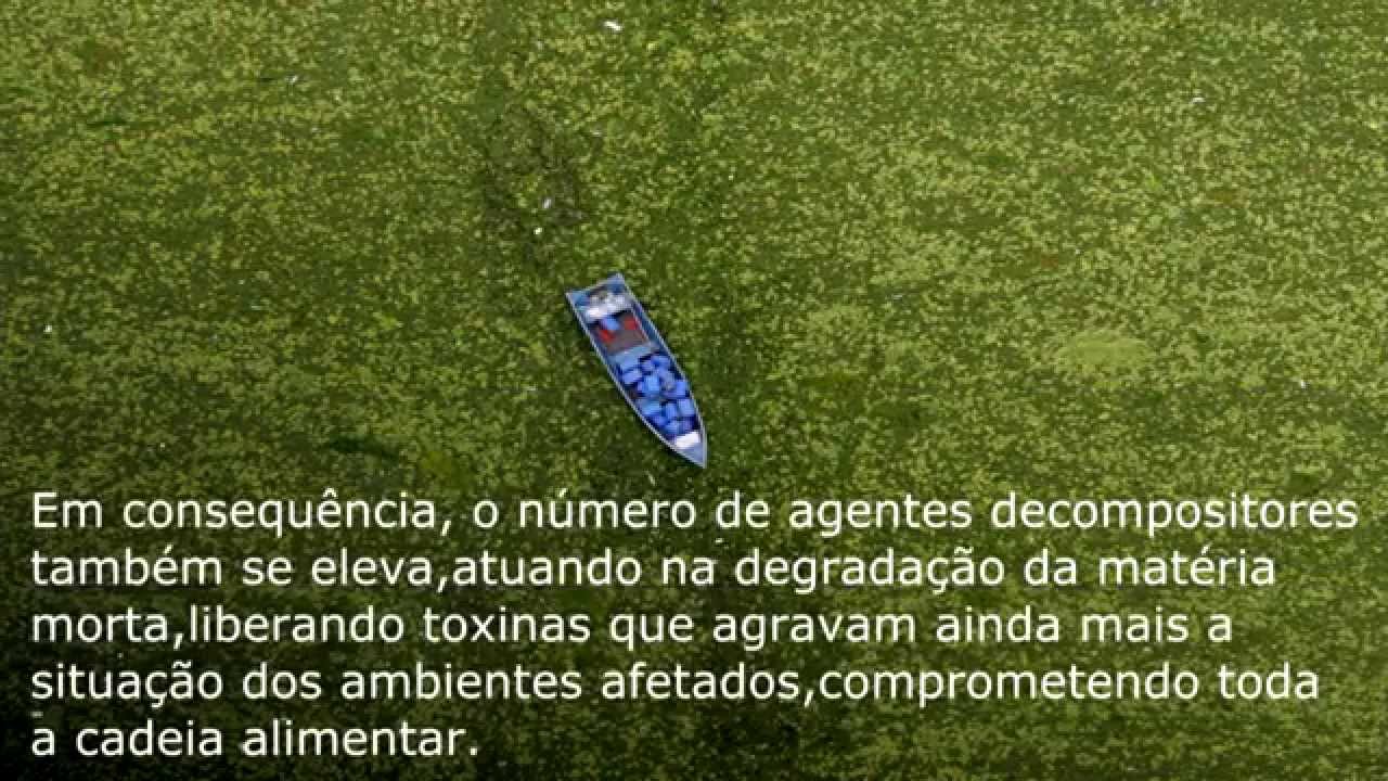 Enem 2011 A Eutrofização é Um Processo Em Que Rios