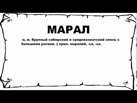 МАРАЛ - что это такое? значение и описание