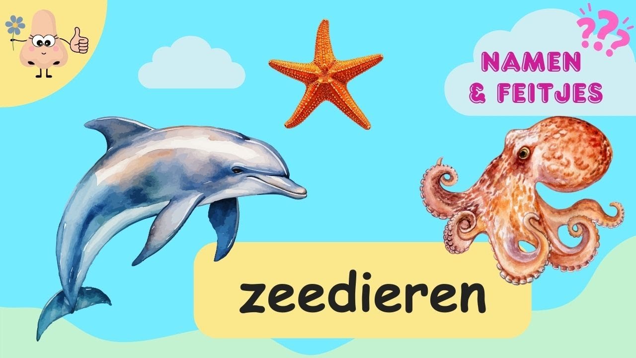Zeedieren Leren – Woordenschat voor Peuters & Kleuters