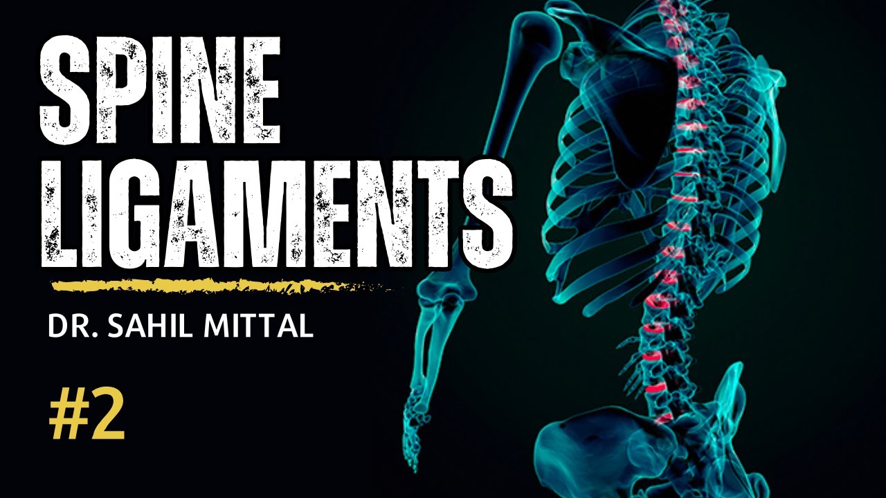 Spinal Cord Ligaments Biomechanics of Spine 2 Hindi Lecture Dr