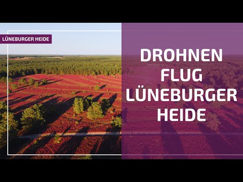 Lüneburger Heide - mit der Drohne über die Heide