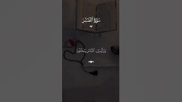 سوره النصر ماهر المعيقلي #قران #ماهرالمعيقلي  #quran #قران_كريم #تلاوة_خاشعة #alaa_mustafa_1