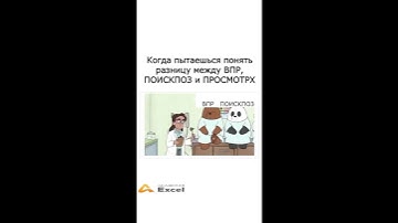 Когда пытаешься понять разницу между ВПР, ПОИСКПОЗ и ПРОСМОТРХ #excel #юмор #memes #мемы #прикол