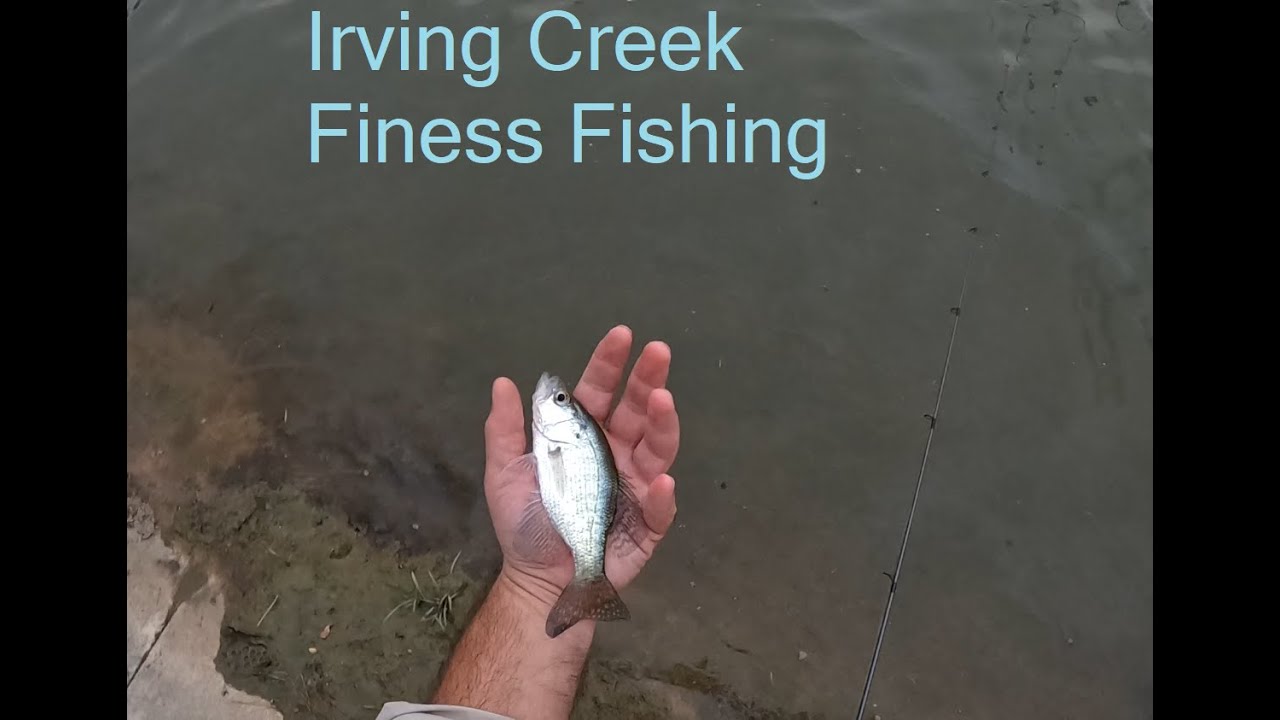 Bass fishing Irving creek pt. 3