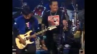 hampa hatiku neo sari