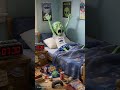 Zog the Alien 👽 - Hilarious Sci-Fi Comedy Adventure!