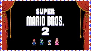 Underground (Unused) - Super Mario Bros. 2