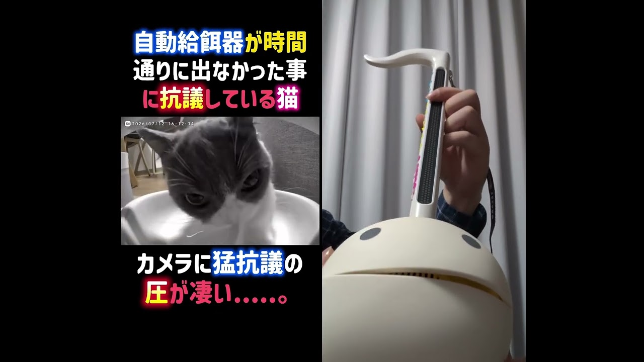 弾いてみた #otamatone #youtubeshorts #shorts #subscribe