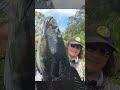 FANGHELICE 130 x GIANT SNAKEHEAD Vol.2