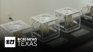 Texas ban on smokable hemp forces shops to clear inventory
