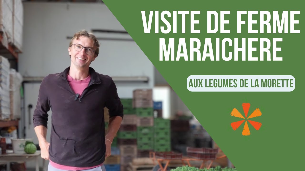 VISITE DE FERME MARAICHERE : Aux Légumes de la Morette à Ponthoile. Maraichage Bio dans la Somme