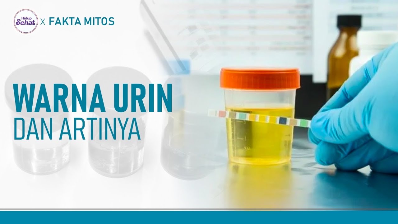 Ketahui Kondisi Kesehatan Dari Warna Urin Anda | Hidup Sehat tvOne