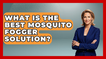 What Is The Best Mosquito Fogger Solution? - Insects and Invaders