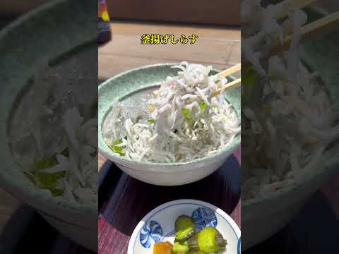 江ノ島【海を目の前に至福のしらす丼定食】
