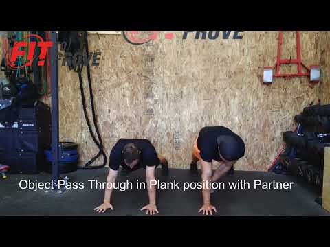 Object Pass Through in Plank position with Partner