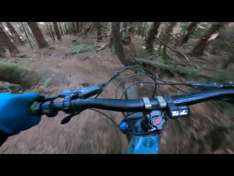 Exit 27 Unsanctioned Downhill: Root Canal