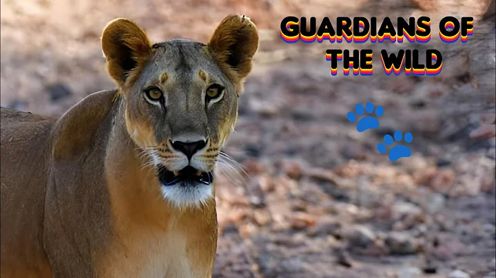 🦁 Guardians of The Wild: | Predators Uncovered | Wildlife Documentary 🌱🦒