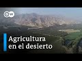 De árido a verde gracias a las gallinas