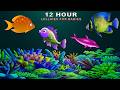 Baby Sleep Music 👶 Música Para Dormir Bebés 🐟 Mozart &amp; Brahms Lullaby 🧠 Sleep Fast #359
