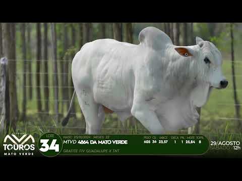 LOTE 34   MTVD 4864