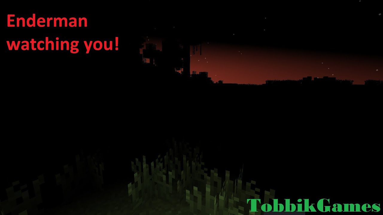 Minecraft Enderman vs Tobbik
