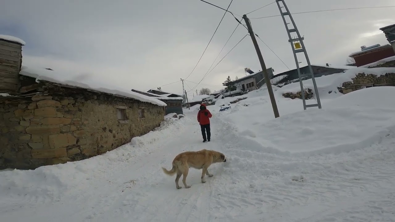 ERZİNCAN REFAHİYE KALKANCI KÖYÜ VİDEOLARI (49)