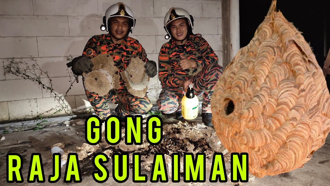 Main Sarang Tebuan | Senang Je | Tak perlu Bakar