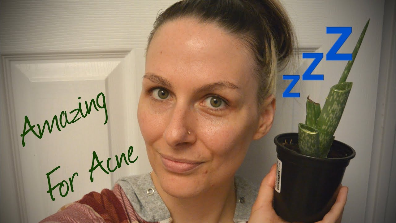 Using Aloe Vera As An Overnight Face Mask YouTube