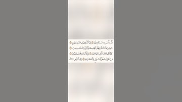 دقيقة للقرآن الكريم تلاوة الشيخ سعد الغامدي سورة الذاريات 3