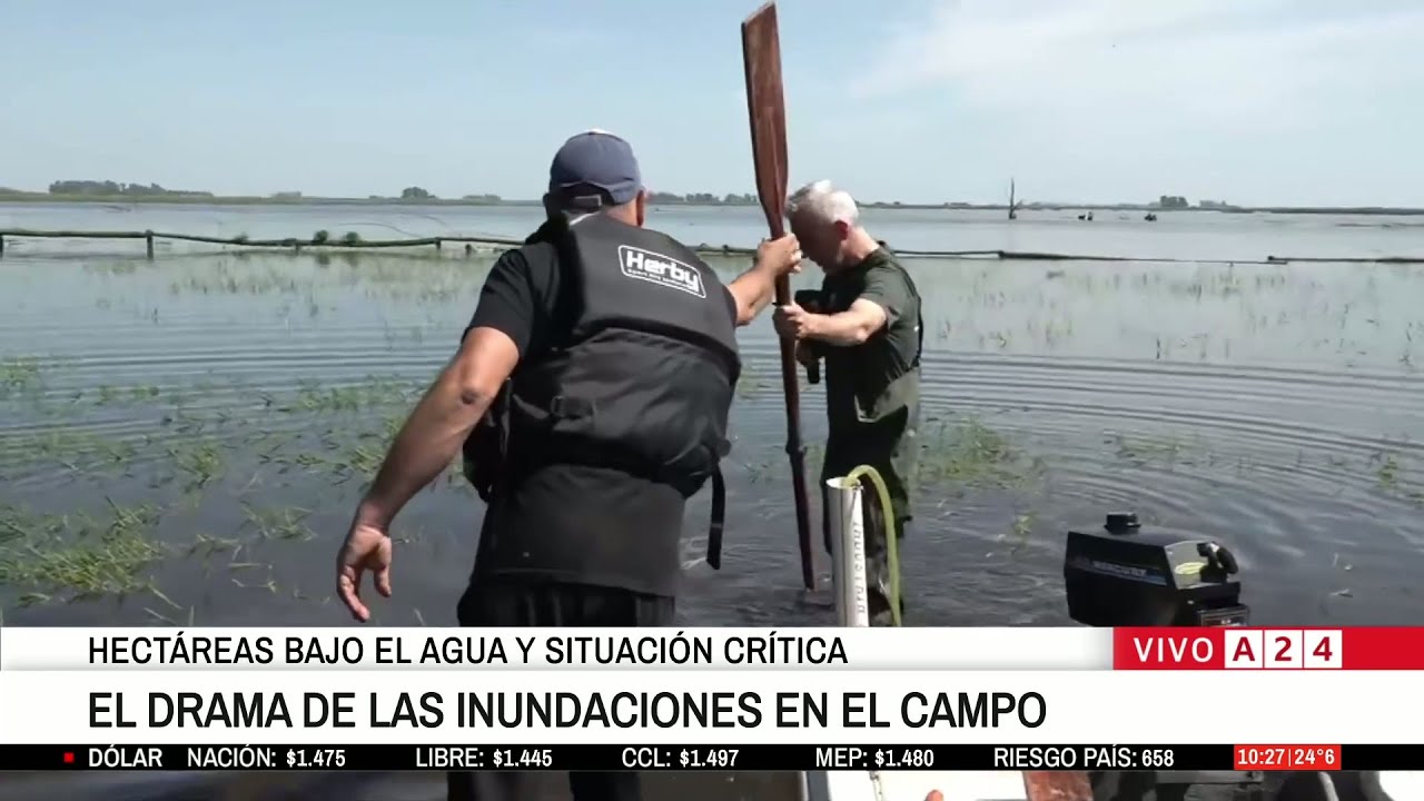 El drama de las inundaciones en el campo: Los videos más impactantes