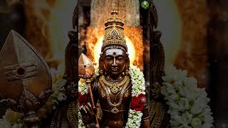 சுட்ட திருநீறு எடுத்தால் என்ன ஆகும் தெரியுமா? 😳🔱 | Sutta Thiruneereduthu Power