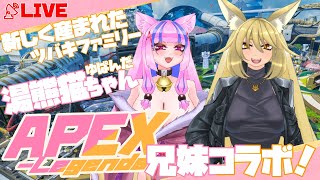 狐と猫の兄妹コラボAPEX