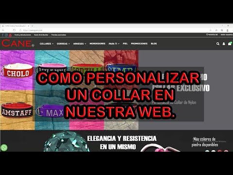 Video: Cómo Comprar Un Collar Para Perros