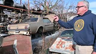 What is JUNKYARD EMPIRE?