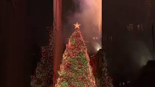 Watch Chicagos Christmas tree lighting ceremony at Millennium Park 🎄