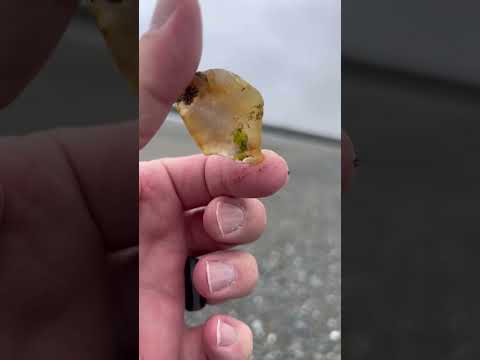 Milky agate #greatpnw #agatehunting #agate #rock