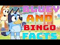 Bluey and Bingo Mod Explained in Friday Night Funkin