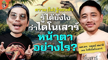 ทุกเรื่องเกี่ยวกับไดโนเสาร์ เจอแต่ฟอสซิลแต่ทำไมรู้หน้าตา? | ความ(ไม่)รู้รอบตัว