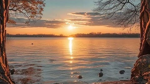 قرآن كريم سوره مريم كامله للقارئ رضا عبد المحسن صلاة التهجد1440 ه