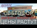 Обзор магазина СВЕТОФОР. Якутск. Повышение цен!? Собачка Замерзает! Шок контент!