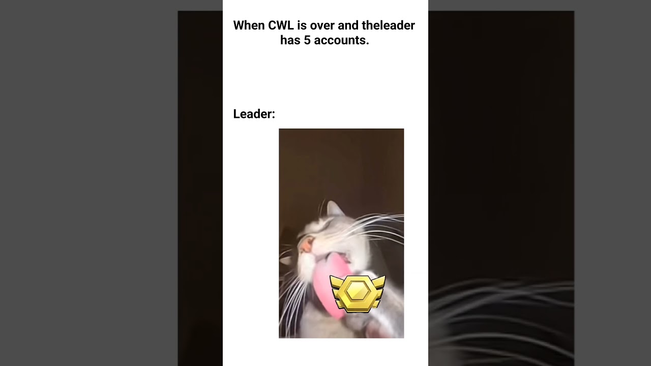 As a clan leader I agree 💯🤣  - COC | 