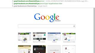 Facebook PHP SDK v4 Get Profile Picture of User   Part 8