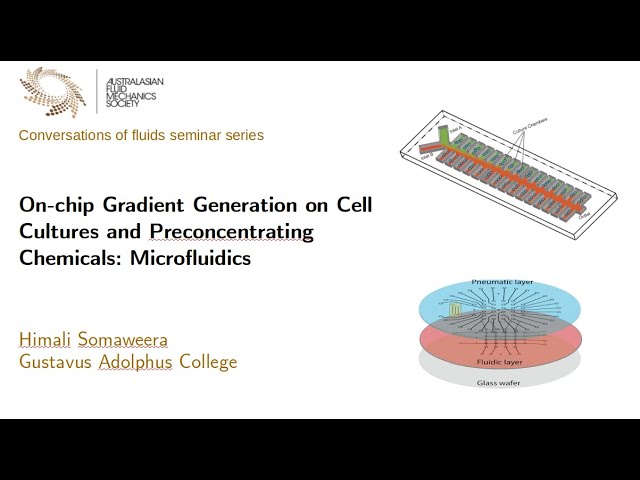 AFMS Conversations in Fluids - March 2022 - Dr Himali Somaweera (Gustavus Adolphus College)